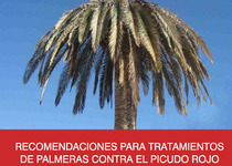 L’Ajuntament de Peníscola actualitza en el web el Protocol d’actuació contra la propagació de la plaga del morrut roig