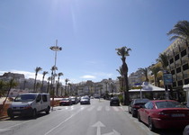 L'Ajuntament de Peníscola pren mesures contra la propagació de la plaga del morrut roig de la palmera