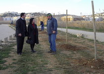 L'Ajuntament planta diverses espècies d'arbres en la senda de la Marjal i l'avinguda de Pigmalión