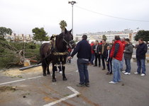 Sant Antoni, la baixada del tronc i l'inici de la festa