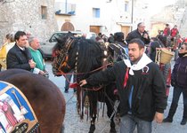 Benedicció dels animals. Celebració de Sant Antoni Abat