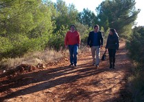 Ajuntament i Diputació arreglen a Peníscola més de 10km de camins rurals el 2013