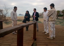 L’Ajuntament de Peníscola ha acabat les tasques de manteniment del Sendero Azul