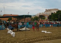 Tir i arrossegament a Peníscola