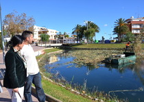 L'Ajuntament de Peníscola comença la poda de canyes en l'Ullal de l'Estany