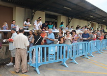 Peníscola reparteix 500 quilos de sardines en la sardinada popular de les Festes‏