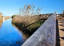 Presentació del llibre RUTAS AZULES POR LOS PAISAJES DEL AGUA DE CASTELLÓN, que inclou la Marjal de Peníscola