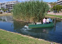 L’Ajuntament de Peníscola continua amb les tasques de prevenció de plagues en tot el municipi