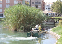 L’Ajuntament de Peníscola segueix amb els cicles de fumigacions en l’aiguamoll, fins a setembre