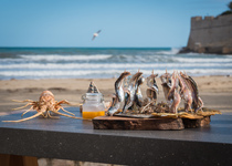 La Peníscola de Cine presentarà la seua gastronomia en diverses capitals espanyoles