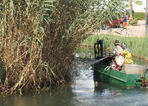 L’Ajuntament de Peníscola reforça el control de plagues i inclou fumigacions des de dins de l’aiguamoll