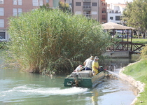 L’Ajuntament de Peníscola continua amb les fumigacions per als mosquits