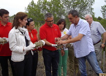 Medi Ambient allibera 300 exemplars de tortuga mediterrània en la Serra d’Irta
